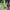 Damen Oversized Blazer und weite Hose Kombination WW