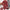 Damen Strickkleid mit festlichem Weihnachtsmotiv und weitem Rundhalsausschnitt WW