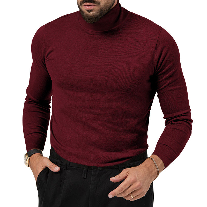 Herren eleganter Rollkragenpullover aus softem Material WW