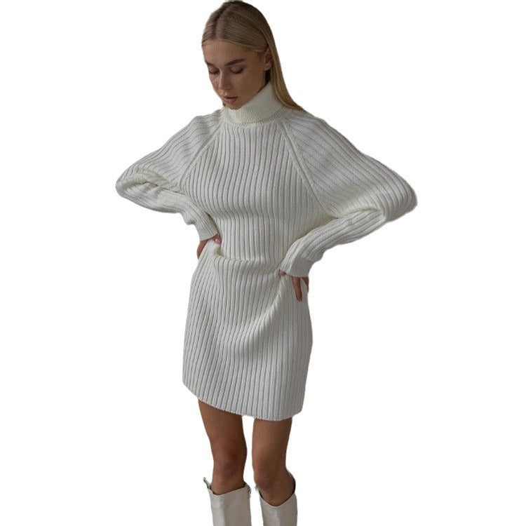 Damen Strickkleid mit hohem Kragen und großen Ärmeln WW