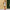 Damen Minikleid mit Raffung und schickem Volant W&W