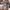 Damen Strickkleid mit festlichem Norweger-Muster und modernem Schnitt WW