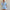 WW | Set Casual in zwei Teilen Hemd und Shorts