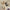 Damen Modische Mules mit elegantem V-Ausschnitt W&W