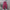 Damen bequeme Sweathose mit Cargo-Taschen WW