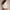Damen Strickjacke mit floralen Details und Knopfverschluss WW