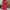 Damen Bandeau Jumpsuit mit floralem Print und elastischem Bund WW