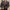 Damen Bikerjacke aus Kunstleder WW