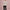 Damen Strickjacke mit verspieltem Herz- und Schleifenmuster WW