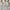 Damen Sportliches Set mit kurvenbetonendem Crop-Top und enganliegenden Leggings WW