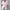 Damen Kurzarm Hemdbluse mit strukturiertem Obermaterial WW