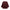 WW | Umhang-Jacke mit Knopfdekoration und langem Umhang