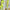 Damen Sportliches Trainingsanzug-Set mit cropped Jacke und Jogginghose WW