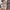 Damen Strickkleid mit festlichem Norweger-Muster und modernem Schnitt WW