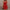 Damen enganliegendes Minikleid mit praktischem Taillenzug und strukturiertem Stoff WW