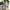 WW | Zeitloses Design Im Vintage-Stil