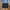Damen entspannte Denim-Shorts mit modischen Abrieb-Details WW