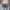 Damen Denim-Shorts mit angesagtem Destroyed-Effekt und lässiger Passform WW