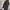 Damen Bikerjacke aus Kunstleder WW