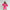 Damen sportliches Kurzarm-Trainingsset mit Kapuzenjacke und elastischen Shorts WW