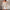 Damen  Schulterfreies Oberteil aus Rippstrick mit asymmetrischem Saum und dekorativen Details WW