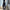 Damen Weite Chino-Hose mit elastischem Bund WW