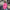 Damen Oversized Sweatshirt mit dropped Shoulder und weichem Fleece-Waren WW