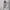 Damen Strickweste mit V-Ausschnitt und modernen Details WW