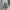 Damen Freizeit-Shorts mit stylischem Camouflage-Muster und elastischem Bund WW