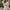 Damen Strickkleid mit feiner Lochmusterung und eleganten Knopfdetails WW