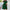 Damen Midikleid mit floralem Design und elegantem Schnitt WW