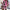 Damen Kurzarm-Jumpsuit mit schickem Zebra-Design und elastischem Bund WW