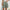 Damen elegante High-Waist Shorts mit Seitentaschen und Knopfdetails WW