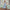 WW | Blumen Lange Maxi Ausgestellte Strapless Kleid