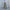 Damen Bequeme Cargohose im angesagten Camouflage-Design WW