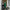 Damen Bodycon Maxikleid mit schulterfreiem Design und Raffungen WW