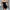 Damen Etuikleid mit innovativem Bustier-Design und eleganten Perlendetails WW