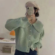 Damen Strickjacke mit großem Kragen und voluminösen Ärmeln WW