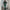 Damen Velours Tracksuit mit Zip-Front und weit geschnittener Hose WW
