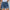 Damen Destroyed Denim-Shorts mit hohem Bund und ausgefranstem Saum WW