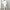Damen Sportliches Freizeit-Loungewear-Set mit Stehkragen WW
