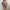 WW | Party Slim Fit Arm Bedeckendes Kleid