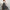 Damen Maxi Rock mit floralem Muster W&W