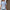 WW V-Ausschnitt Asymmetrisches Streifen-Patchwork-Top