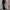Damen Bootcut-Hose mit hohem Bund und elastischem Taillenband WW