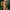 Damen Bikini-Set mit modischem Cut-Out-Design und verstellbaren Trägern WW