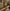 WW | Damen Flirty Sheer Mini Dress mit Schimmernden Silbernen Spitzen Details