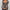 Damen Langarmshirt mit camouflagemuster WW