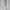 Damen Sportliches Set mit figurbetontem Top und Hochbund-Leggings WW