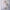 WW | Bedrucktes, taillenbetontes U-Ausschnitt Elegantes Kleid